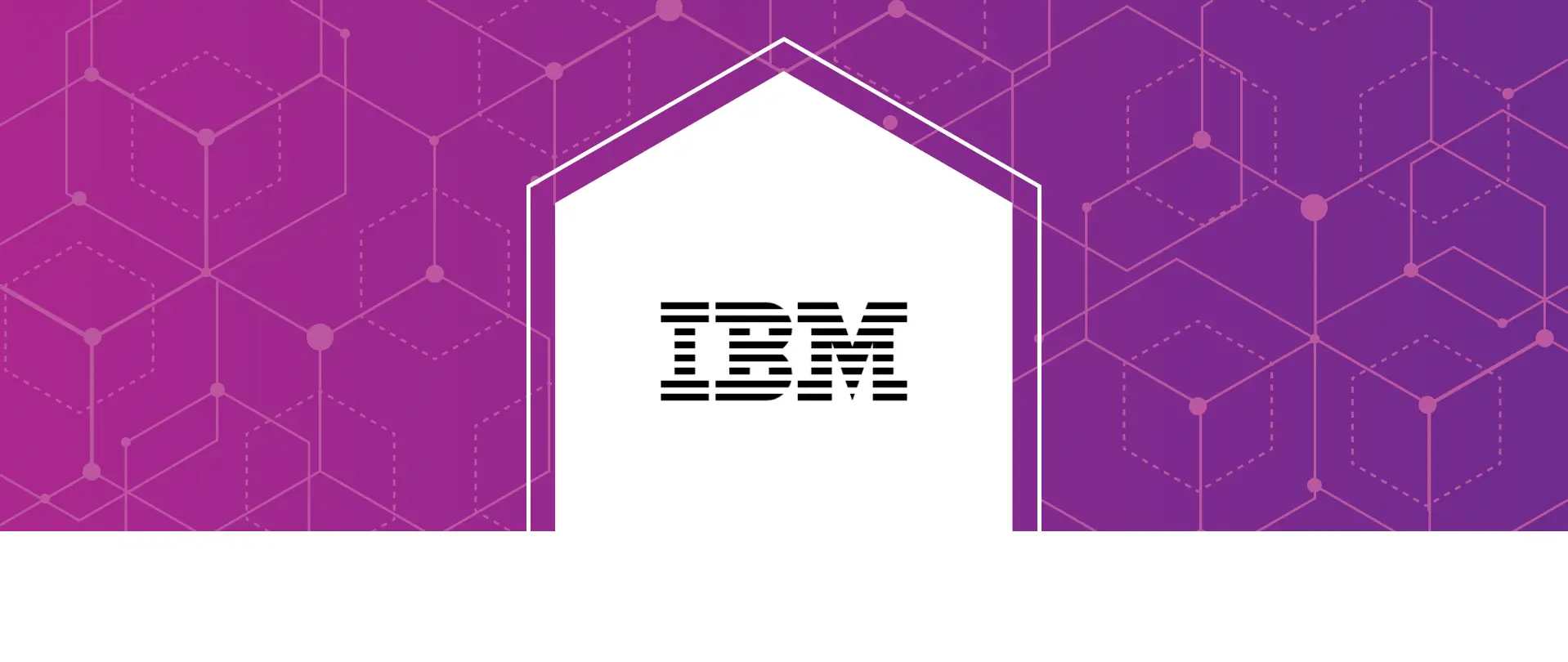 PhageAI joined IBM Accelerator for startups