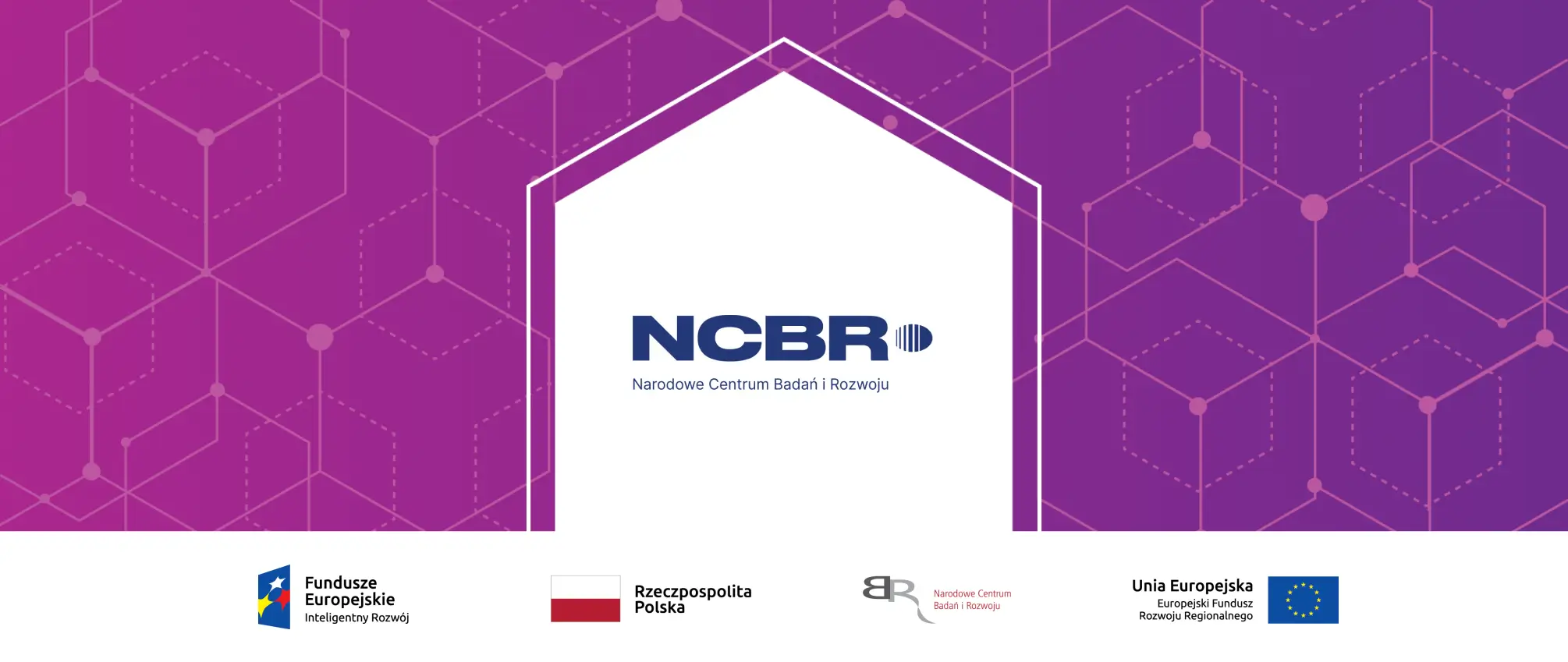 NCBR scientific grant progress report